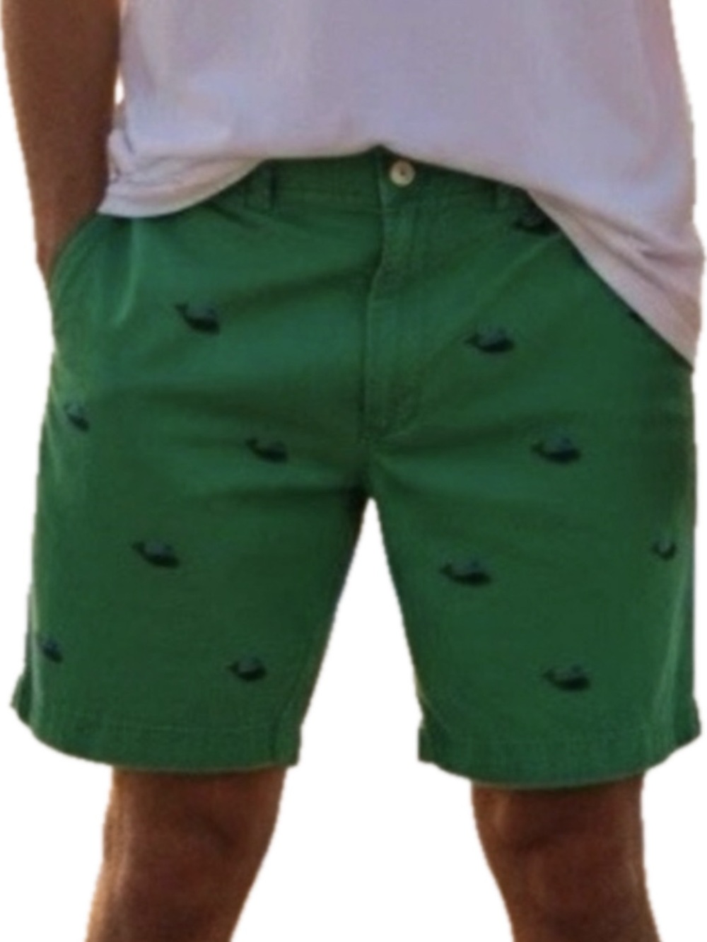 Polo Ralph Lauren Whale Embroidered Preppy Chino Classic Fit Shorts Men’s Sz. 34